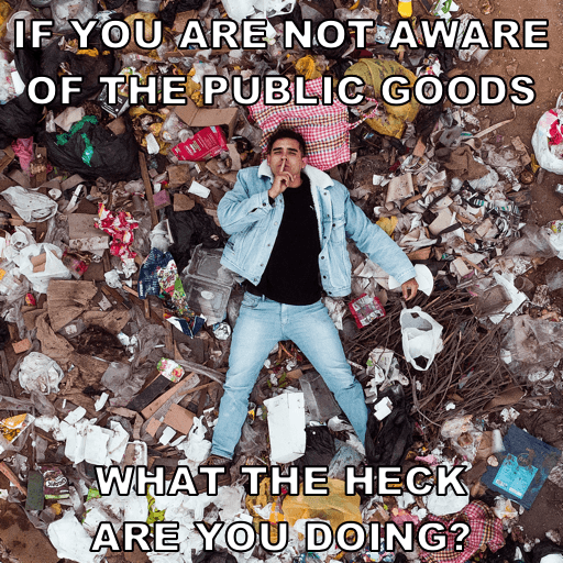 Public Good 1